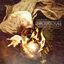 Cover Disarm the Descent