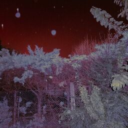 ''
