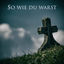 Cover So wie du warst (Coverversion)