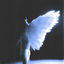 Cover Traume