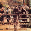 Cover Hark! The Village Wait
