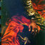 Cover Brown