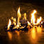Cover Ignite