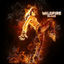 Cover Wildfire