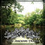 Cover The Ancient Pulse (10 Year Anniversary)