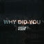 Cover Why Did You