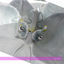 Cover Anora