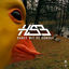 Cover Dance mit de Gänse
