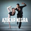 Cover Tonada Pa'l Bailador