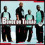 Cover Bonde Do Tigrão