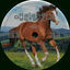 Cover Hear Me Neigh