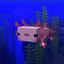 Cover Axolotl in the Ocean