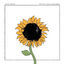 Cover Year of the Sunflower