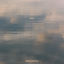 Cover leben