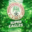Cover Super Eagles Song