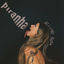 Cover Piranha