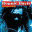 Cover Jamming In Dub