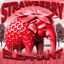Cover Strawberry Elephant Phonk