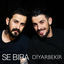Cover Diyarbekir