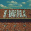 Cover I Will