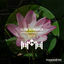 Cover Lotus (Radio Edit)