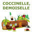 Cover Coccinelle, demoiselle