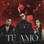 Cover Te Amo