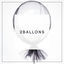 Cover Two Balloons