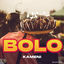 Cover Bolo