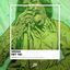 Cover Hey Ya!
