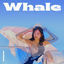 Cover Whale