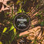 Cover Povoada (Remix)