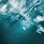 Cover Currents