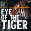 Cover Eye Of The Tiger