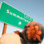 Cover Summerland