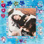 Cover SunCash feelings