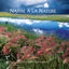 Cover Naître à la nature