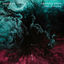 Cover Another Dawn