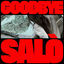 Cover GOODBYE SALÒ