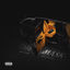 Cover The Mask