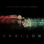 Cover Shallow (The Duet with Garth Brooks and Trisha Yearwood)