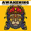 Cover Awakening: EarthRise SoundSystem Remix Project