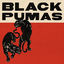 Cover Black Pumas - Expanded Deluxe
