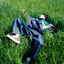 Cover Easy Life