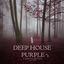 Cover Deep House Purple 2