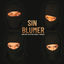 Cover Sin Blumer
