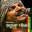 Cover Avivamente