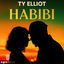 Cover Habibi