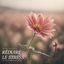 Cover Réduire le Stress: Musique Apaisante pour Calmer l'Esprit et Réduire le Stress Quotidien