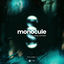 Cover Monocule (Volume 1)